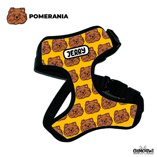 Pomerania Pechera