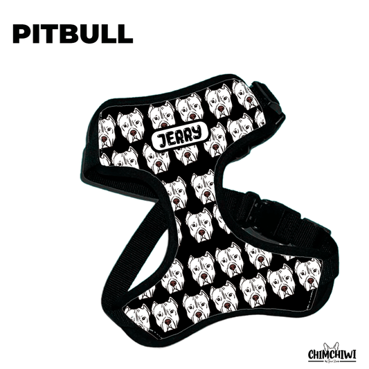 Pitbull Pechera